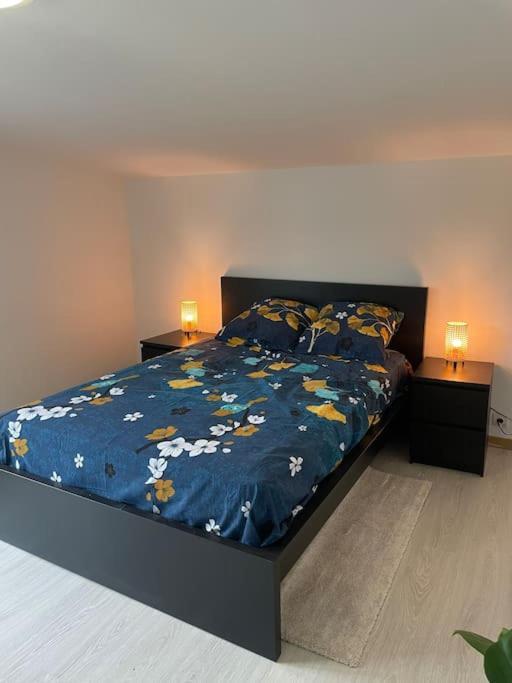 Maison Paisible, Elegante Cdg Jo Aulnay-sous-Bois
